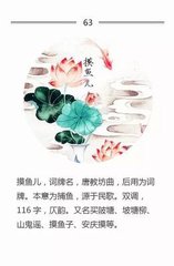 摸魚兒·被楊花