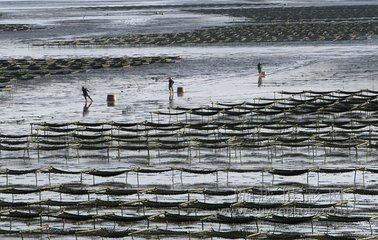 耕漁處