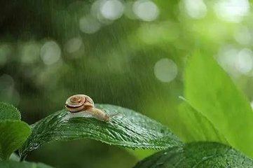 水龍吟·樽前花底尋春處