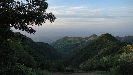 醉中歸盩厔