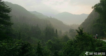 鷓鴣天 木犀