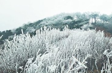 和陳魯山十詩(shī)以孟夏草木長(zhǎng)遶屋樹扶疏為韻