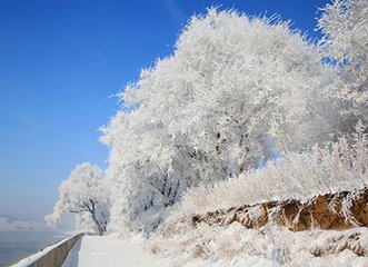 令狐相公見(jiàn)示，題洋州崔侍郎宅雙木瓜花頃接