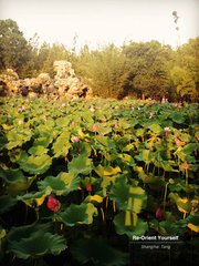 夏初臨·水榭風(fēng)臺(tái)