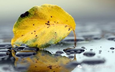 木蘭花慢·立秋夜雨送梁汾南行