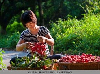 題鄒處士隱居（一作題裴處士園林）