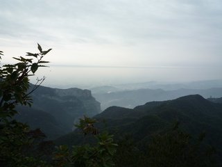 新居六詠·竹林隱居