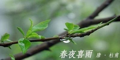 春雨二首