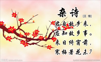 雜詩(shī)