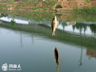 和仲嚴弟暮春二絕