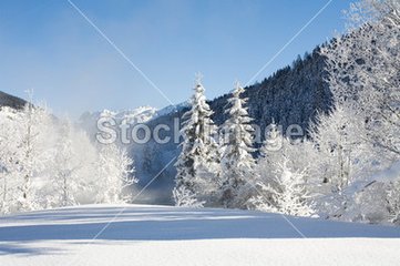 山中醮后一日雪仍留山中霧雨溟濛混然如一氣