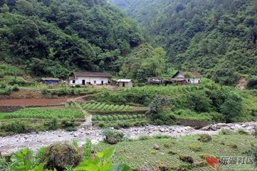 病足久敗游山之興山中道人多見問戲作示之