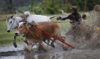 田中泥