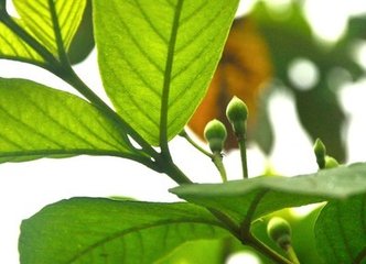 久雨排悶