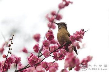 感故府二首