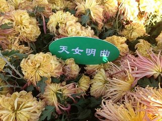 酬別令狐補(bǔ)闕