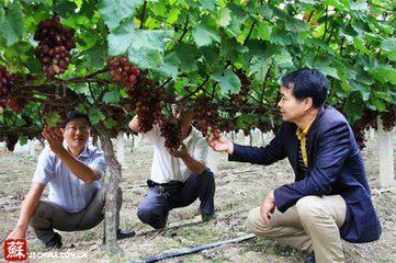 送歐陽推官赴華州監(jiān)酒