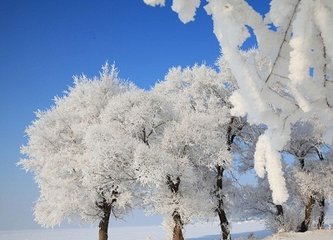 送穆寂赴舉