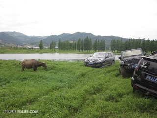 訪關(guān)子開兄弟于余姚懷先世舊契