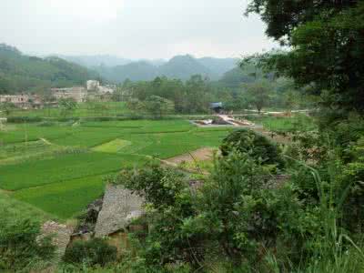 除浙東留題桂郡林亭