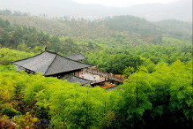 喜義興權(quán)明府自君山至，集陸處士羽青塘別業(yè)