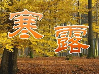 送孫司戶秩滿東歸考試鄂渚二首