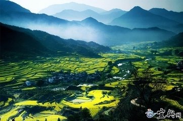 滿(mǎn)路花/促拍滿(mǎn)路花