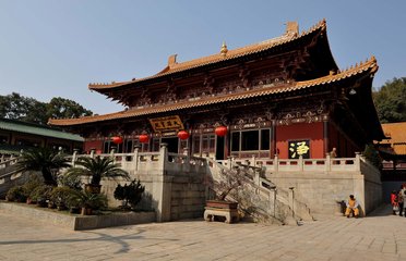 送后集往廬山東林寺兼寄云皋上人