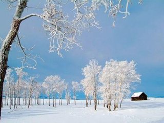 同諸客嘲雪中馬上妓