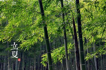 立夏日憶京師諸弟