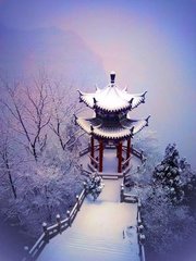 寄題林景思雪巢六言三首