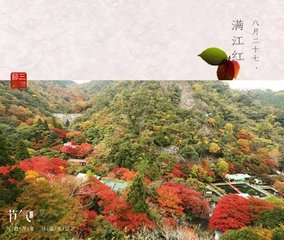 滿江紅·丹桂重開