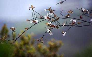 倦尋芳·暮帆掛雨