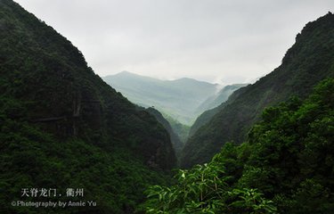 孤山觀雪