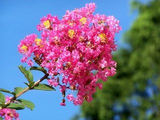 木蘭花慢（餞韓似齋赴江東鹺幕）