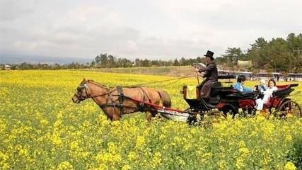 九日與客登鳳凰山酌涌金泉泛舟西歸