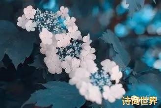 賀新郎（題揚(yáng)州瓊花觀）