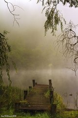 水調(diào)歌頭·涼吹送溪雨