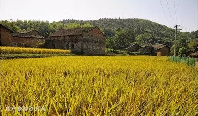 經(jīng)月巖山