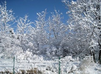 己丑二月三日大風(fēng)雨雪 其一