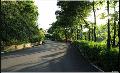 對海紅花懷吏部侍郎