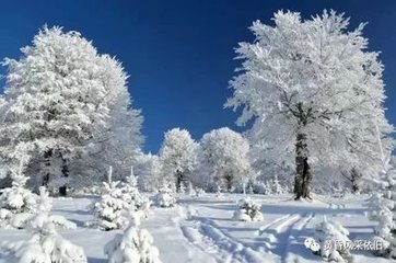 武陵春·春在前村梅雪里