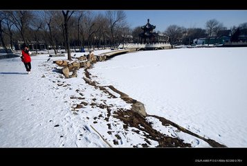 春雪初霽杏花正芳月上夜吟