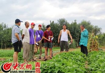 陪鄭諴郎中假日省中寓直