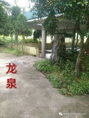 回峰寺和浮屠坦然韻