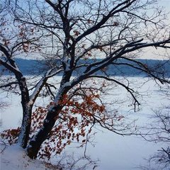 掃花游（春雪）