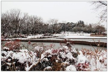 和曾守祈雪二首