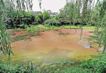 滿江紅·重到西湖