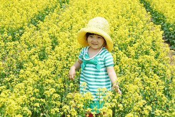 風入松 贈歌者馬桂香