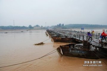 夜到洛口入黃河